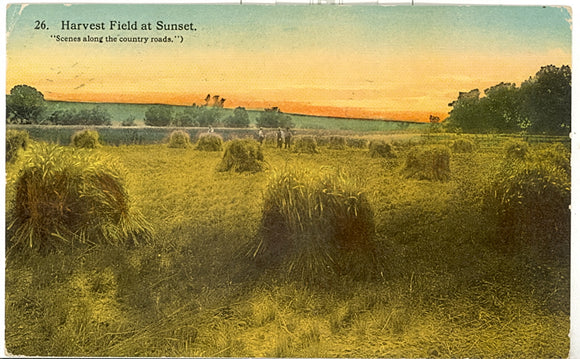 A Harvest Field at Sunset, Green Bay, WI - Carey's Emporium