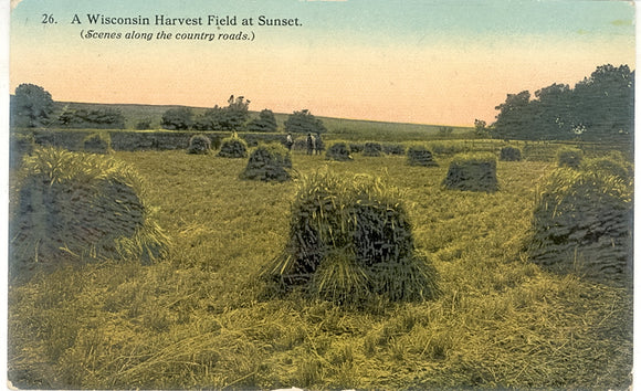 A Wisconsin Harvest Field at Sunset - Carey's Emporium