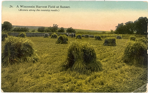 A Wisconsin Harvest Field at Sunset, Madison, WI - Carey's Emporium