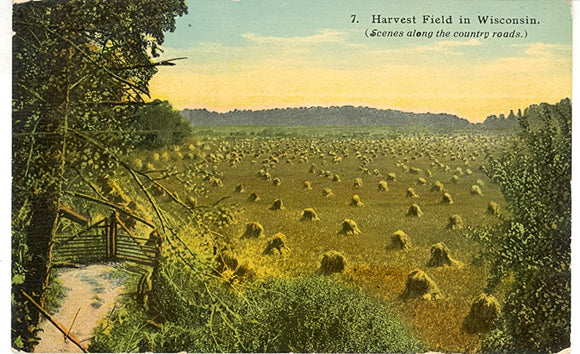 Harvest Field in Wisconsin - Carey's Emporium