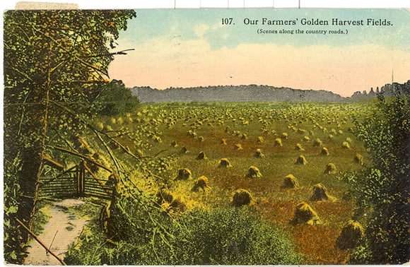Our Farmers' Golden Harvest Fields, Battle Creek, MI - Carey's Emporium