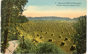 Harvest Field in Wisconsin, Wausau, WI - Carey's Emporium