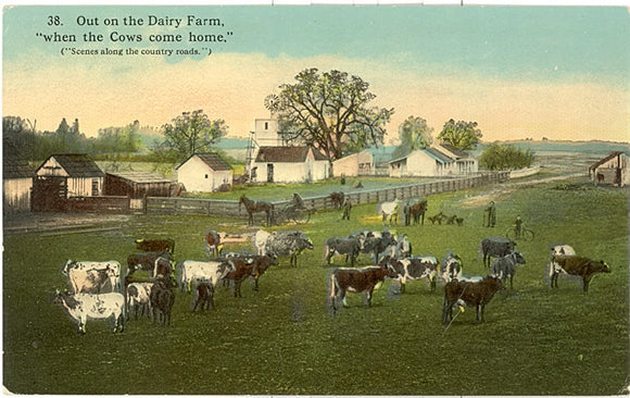 Out on the Dairy Farm when the Cows come home - Carey's Emporium
