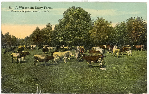 A Wisconsin Dairy Farm, Trevor, WI - Carey's Emporium