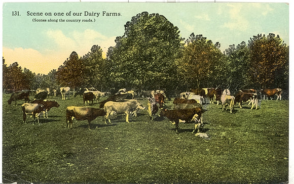 Scene on one of our Dairy Farms, Fond du Lac, WI - Carey's Emporium
