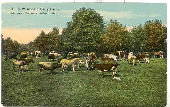 A Wisconsin Dairy Farm - Carey's Emporium