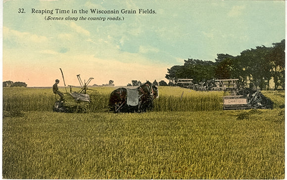 Reaping Time in the Wisconsin Grain Fields - Carey's Emporium