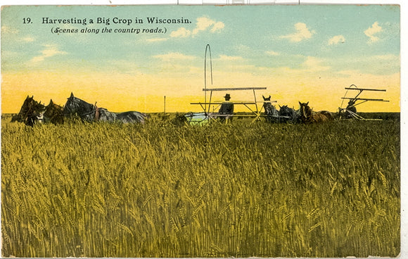 Harvesting a Big Crop in Wisconsin - Carey's Emporium