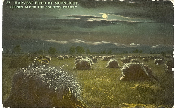 Harvest Field by Moonlight, Richwood, WI - Carey's Emporium