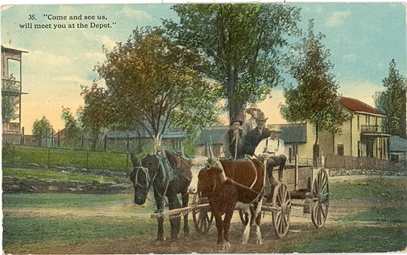 Come and See Us, Will Meet You at the Depot, Brandon, WI - Carey's Emporium