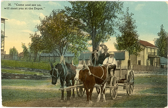 Come and See Us, Will Meet You at the Depot - Carey's Emporium