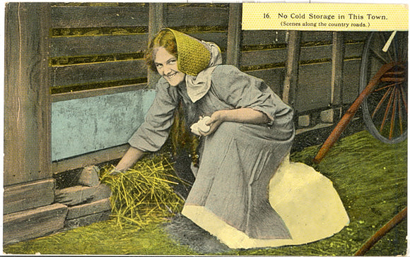 No Cold Storage in Wisconsin - Carey's Emporium