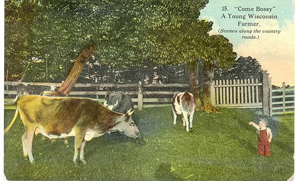Come Bossy, A Young Wisconsin Farmer, Reedsburg, WI - Carey's Emporium