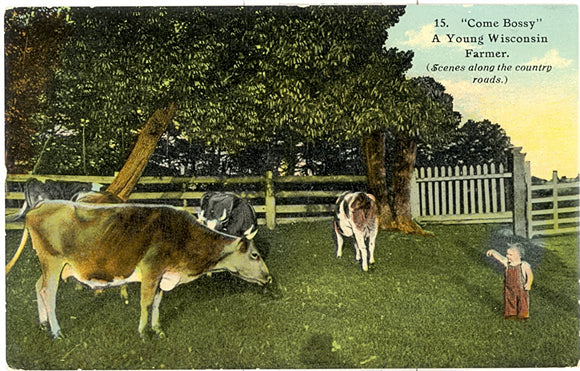 Come Bossy, A Young Wisconsin Farmer - Carey's Emporium