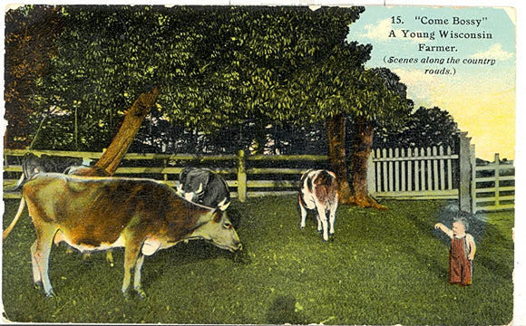 Come Bossy, A Young Wisconsin Farmer - Carey's Emporium