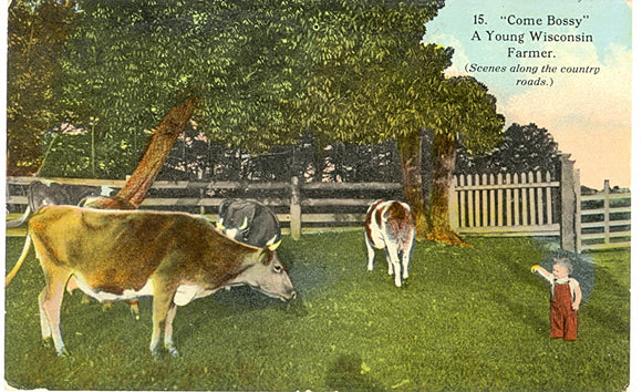 Come Bossy, A Young Wisconsin Farmer, Clintonville, WI - Carey's Emporium