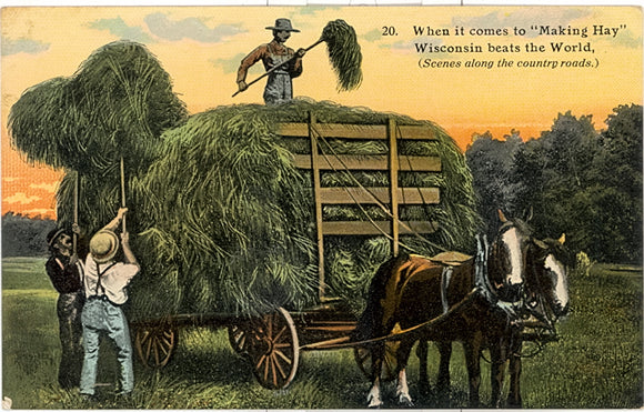 When it Comes to Making Hay Wisconsin Beats the World - Carey's Emporium