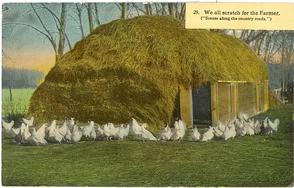 We All Scratch for the Farmer - Carey's Emporium