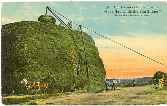 Our Farmers know How to Make Hay while the Sun Shines, Green Bay, WI - Carey's Emporium