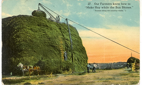 Our Farmers know How to Make Hay while the Sun Shines - Carey's Emporium