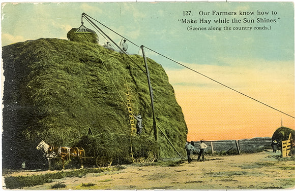 Our Farmers know How to Make Hay while the Sun Shines - Carey's Emporium