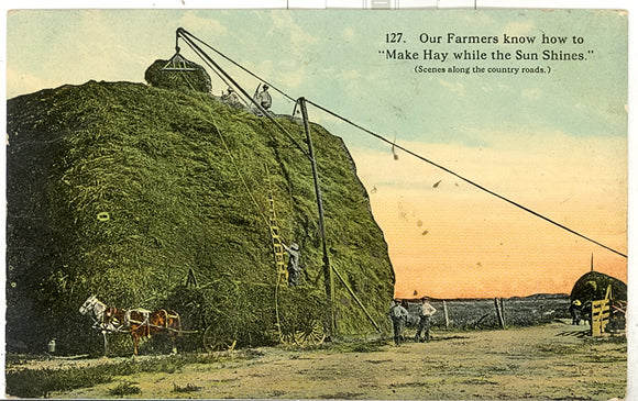 Our Farmers know How to Make Hay while the Sun Shines - Carey's Emporium