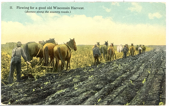Plowing for a good old Wisconsin Harvest - Carey's Emporium