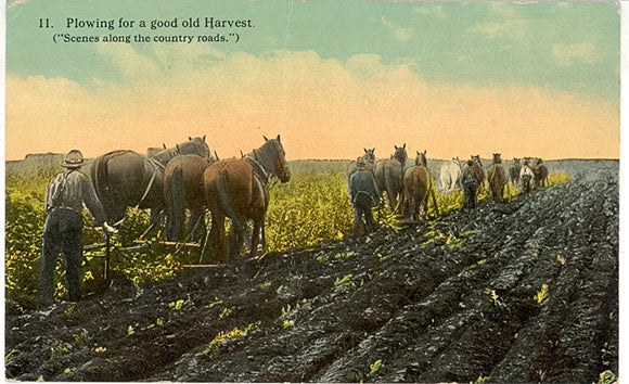Plowing for a good old Harvest, Brooklyn, WI - Carey's Emporium