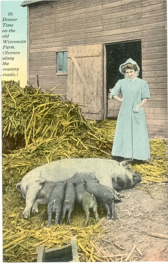 Dinner Time on the old Wisconsin Farm - Carey's Emporium