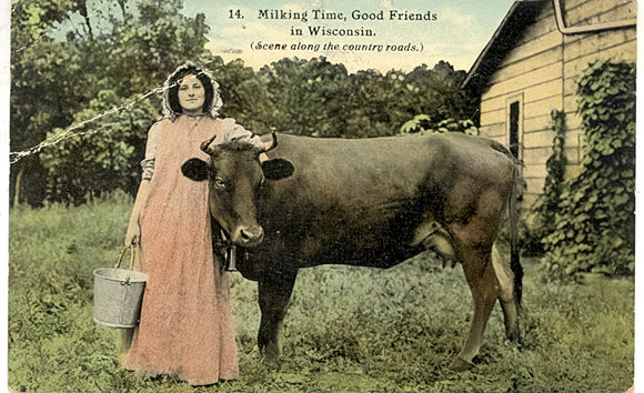 Milking Time, Good Friends in Wisconsin, Kenosha, WI - Carey's Emporium