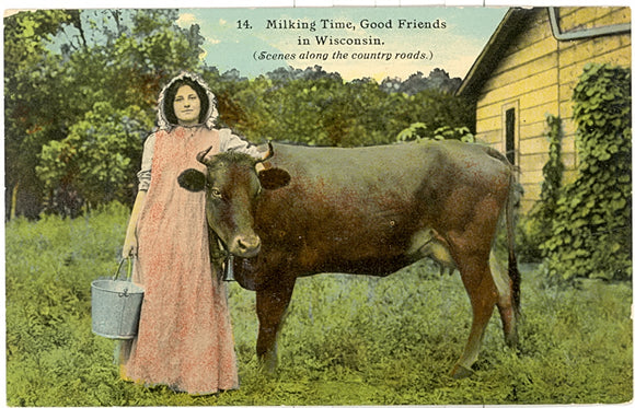 We're all Good Friends on the old Farm - Carey's Emporium