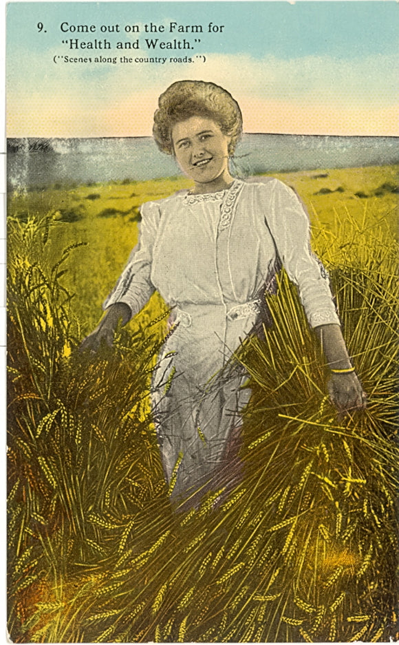 Come to Wisconsin for Health and Wealth - Carey's Emporium