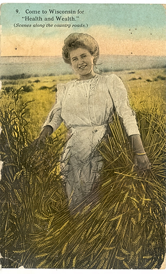 Come to Wisconsin for Health and Wealth, Palmyra, WI - Carey's Emporium