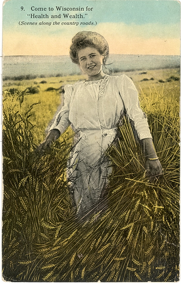 Come to Wisconsin for Health and Wealth - Carey's Emporium