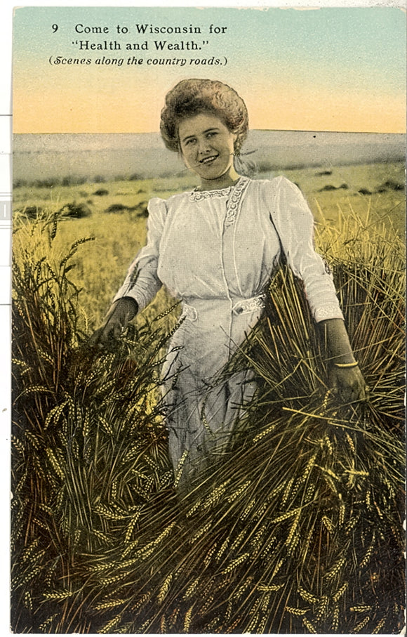 Come to Wisconsin for Health and Wealth - Carey's Emporium