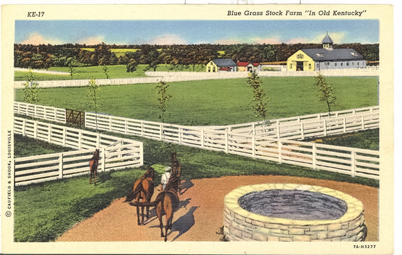 Blue Grass Stock Farm In Old Kentucky - Carey's Emporium