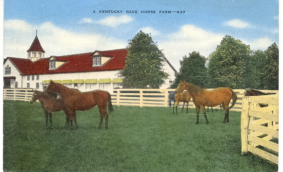 A Kentucky Race Horse Farm, Lexington, KY - Carey's Emporium
