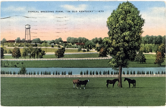 Typical Breeding Farm, In Old Kenturky, Williamsburg, KY - Carey's Emporium