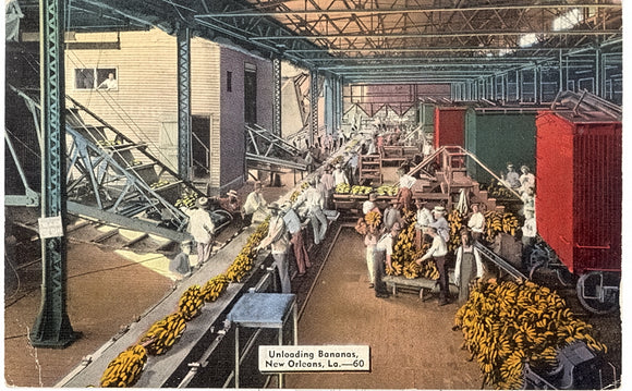 Unloading Bananas, New Orleans, LA - Carey's Emporium