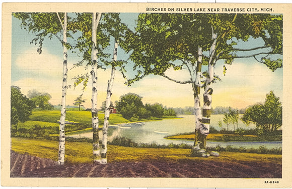 Birches on Silver Lake Near Traverse City, MI - Carey's Emporium