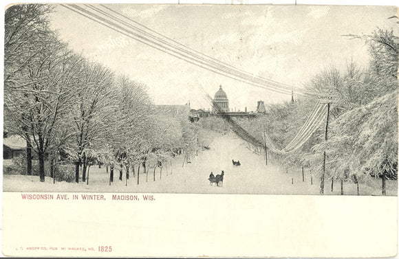 Wisconsin Ave. in Winter, Madison, WI - Carey's Emporium