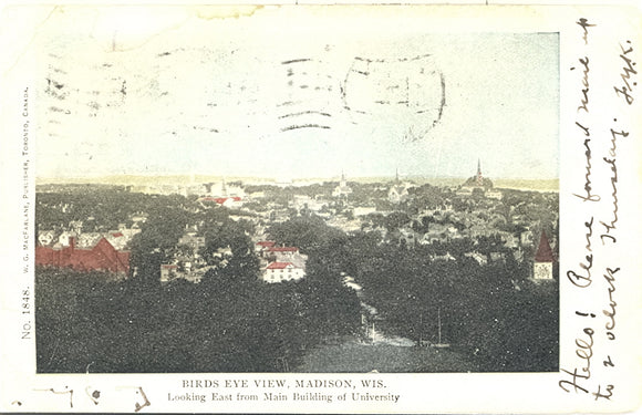 Birds Eye View, Madison, WI - Carey's Emporium