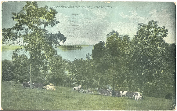 Picnic Point, from U. W. Campus, Madison, WI - Carey's Emporium