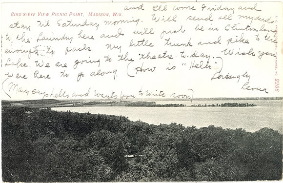 Bird's-Eye View, Picnic Point, Madison, WI - Carey's Emporium