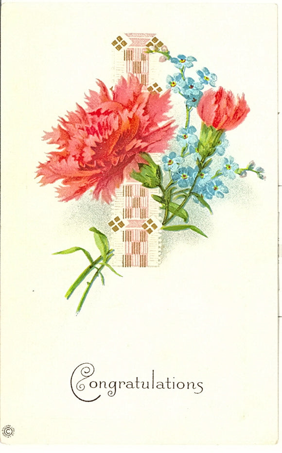 Congratulations - Carey's Emporium