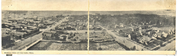 Birdseye View of Cass Lake, MN - Carey's Emporium