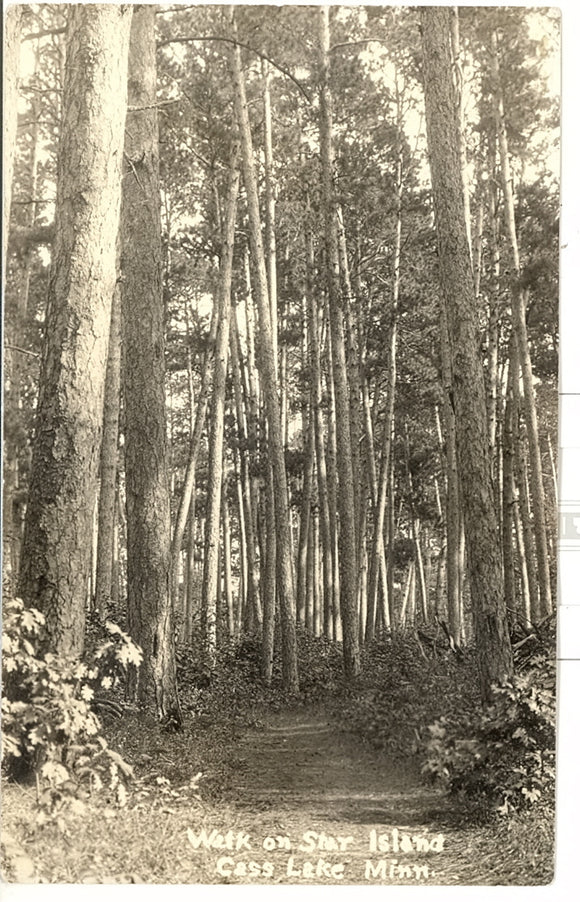 Walk on Star Island, Cass Lake, MN - Carey's Emporium