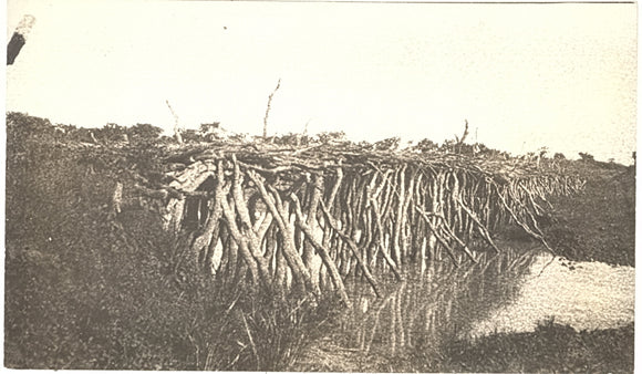 Bridge, Uganda - Carey's Emporium