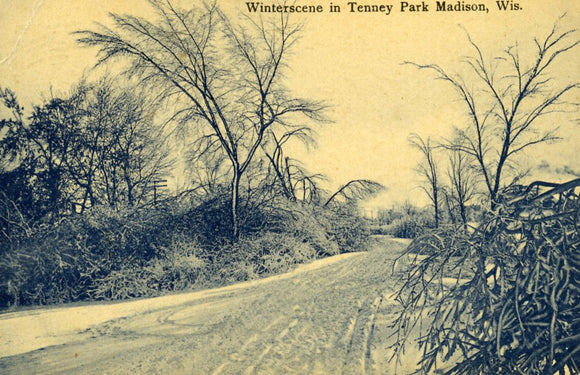 Winterscene in Tenney Park, Madison, WI - Carey's Emporium
