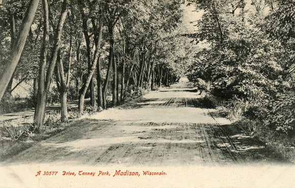 Drive, Tenney Park, Madison, WI - Carey's Emporium